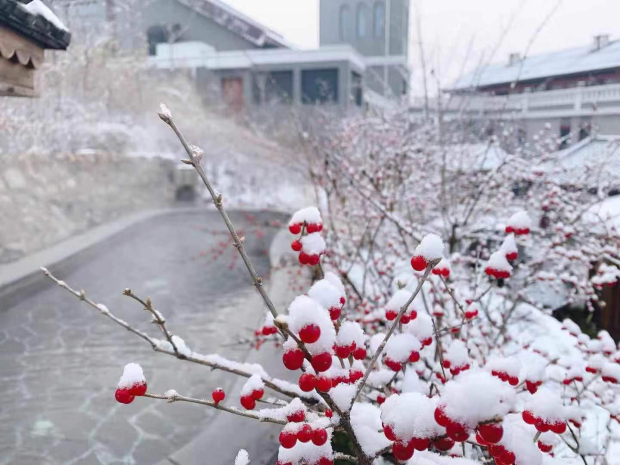 ΢��ͼƬ_20231215111653 (2).jpg