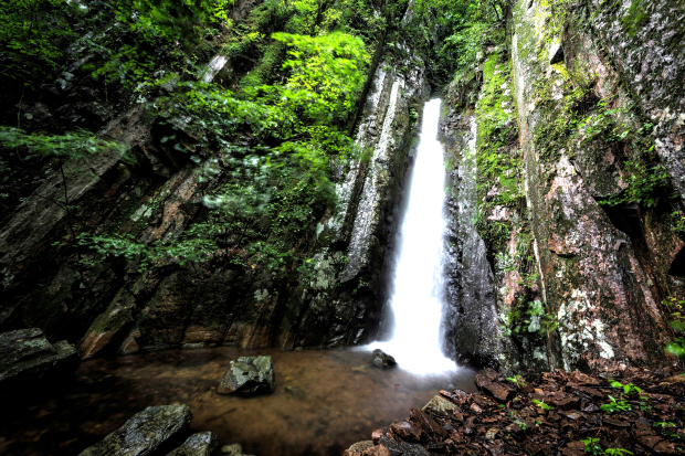 image007 (2).jpg image007 (2).jpg