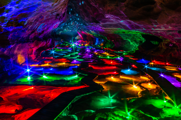 image007 (2).jpg image007 (2).jpg